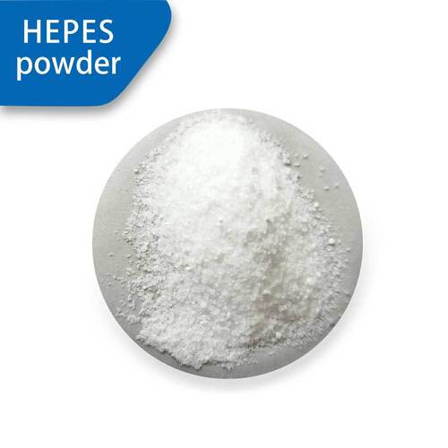 Latest company news about HEPES vs Bicarbonate Buffer System: Selection of Inside and Outside the CO ₂ Incubator